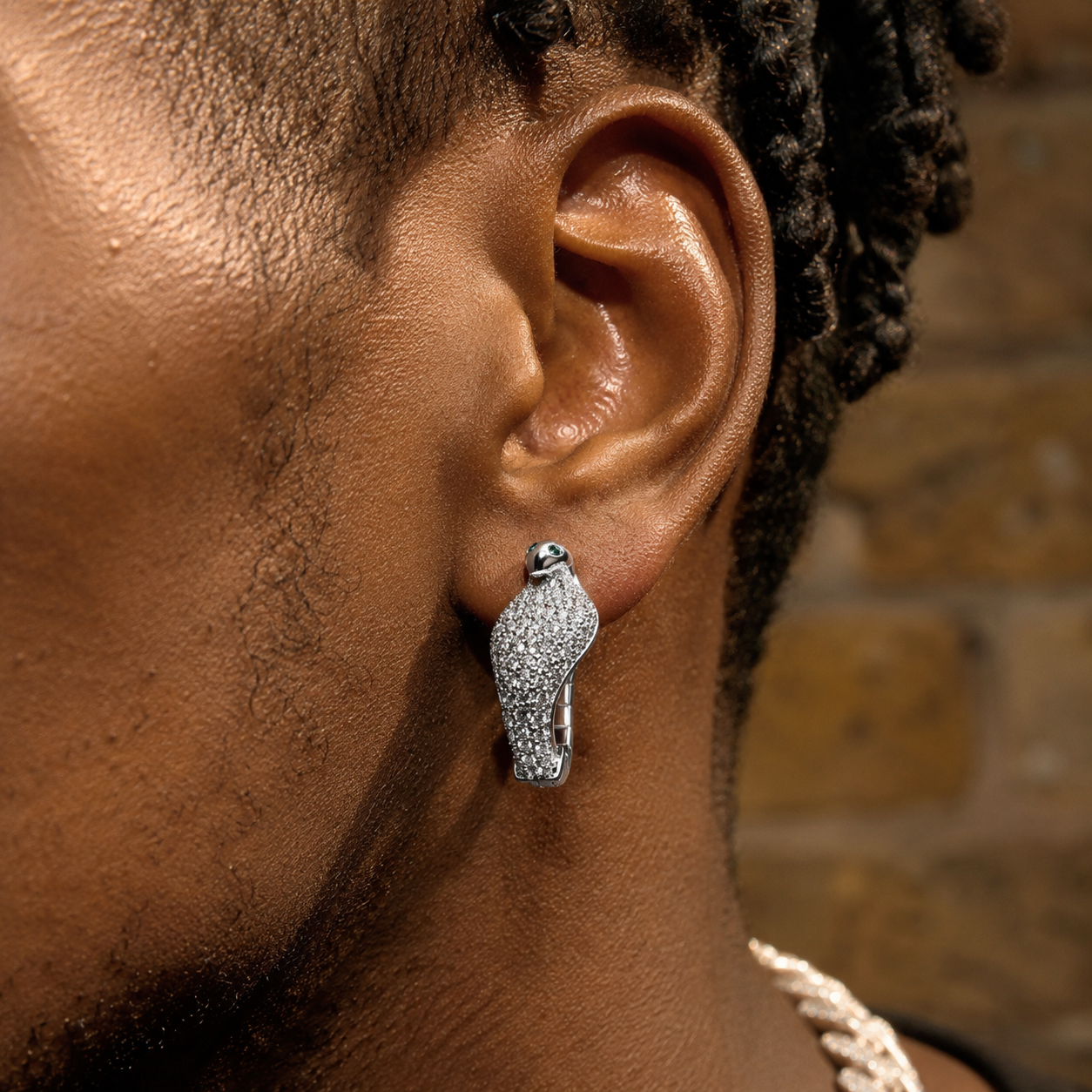 Hip Hop Diamond Cobra Earrings