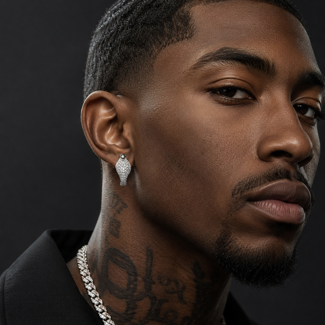 Hip Hop Diamond Cobra Earrings